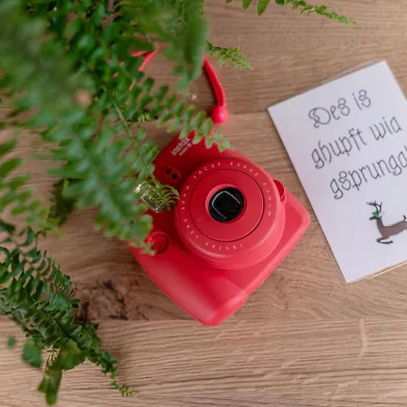 Appartement Almadel Rohrmoos *